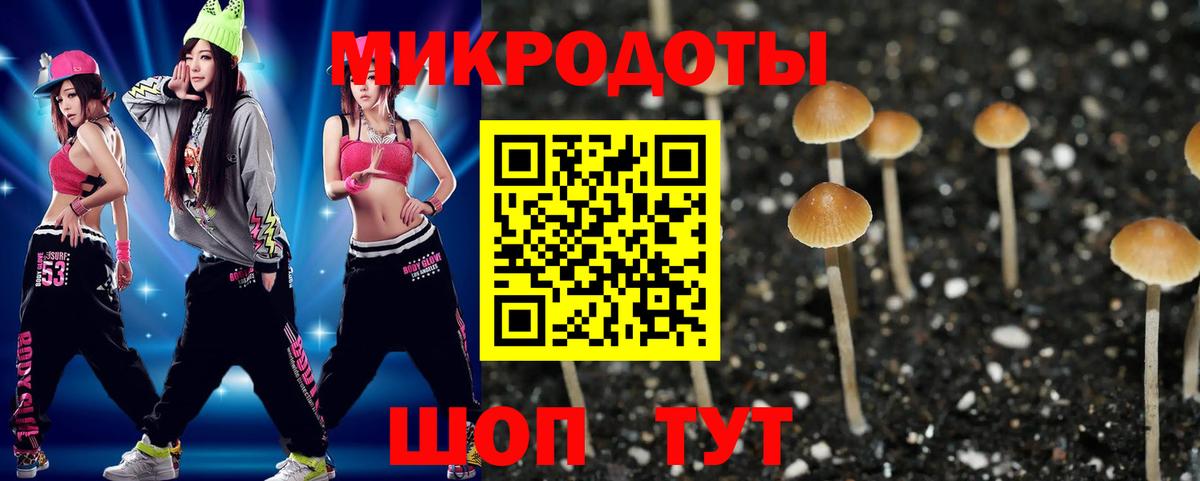 Псилоцибиновые грибы Psilocybine cubensis  Галлюциногенные грибы мицелий  Нефтеюганск  Вход с VPN 