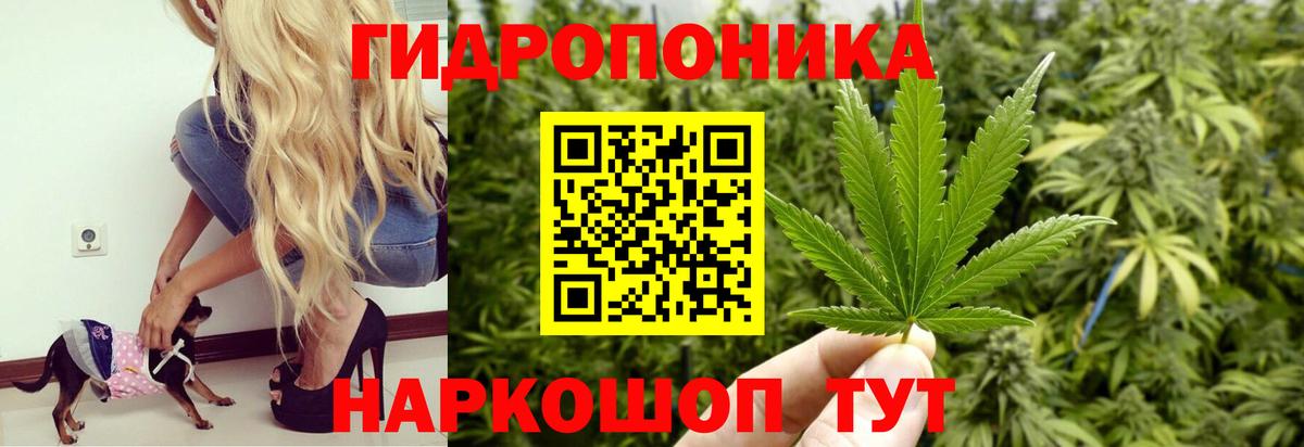 Бошки Шишки ГИДРОПОН Нефтеюганск